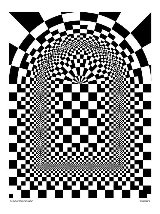 Checkered Passage Screen Print